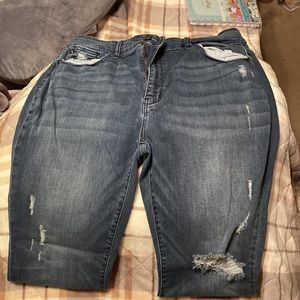 JUDY BLUE 18W SKINNY JEANS